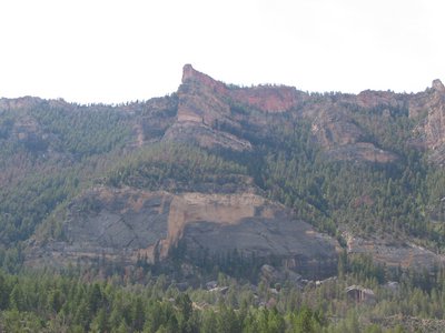 IMG_0101