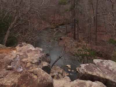 20160304 - duke forest korstian 1